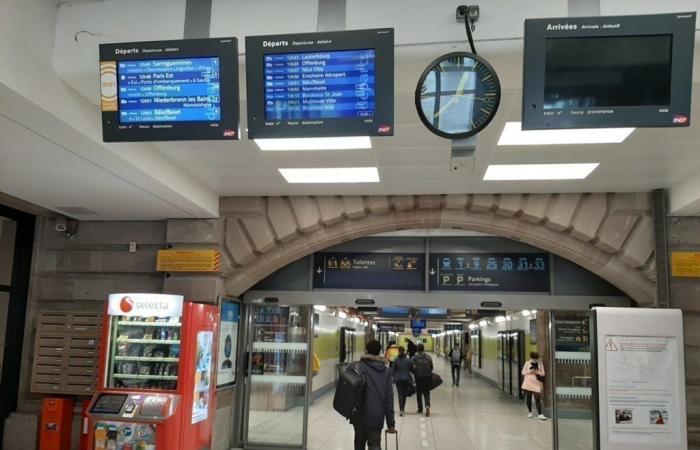 Strasbourg station. More than 300 pieces of luggage abandoned this year: “Mistakes”