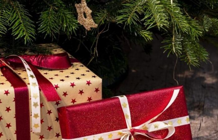 Christmas bonus 2024: are you eligible for this aid paid from Tuesday? : News