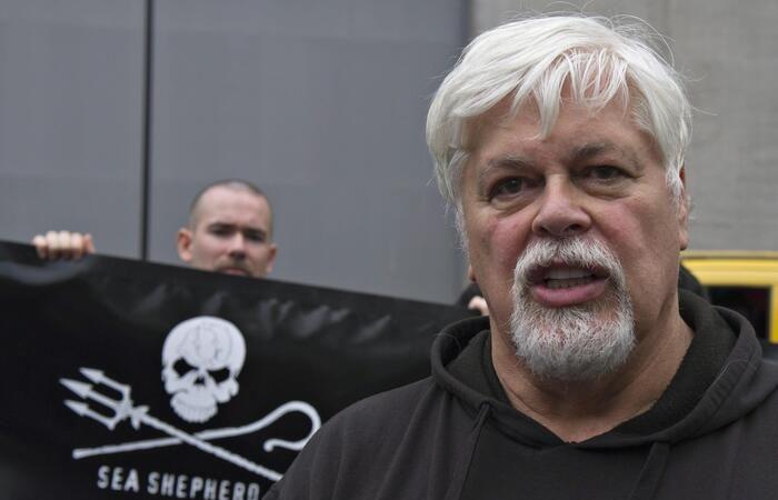 Denmark releases whale activist Paul Watson – News