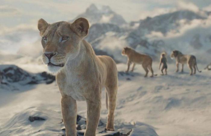 Cinema releases: “The Lion King”, “Sarah Bernhardt” and “Everybody Loves Touda”, the films to see this week