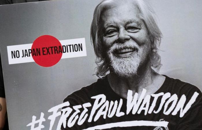 Paul Watson will not be extradited by Denmark, the founder of Sea Shepherd soon to be released