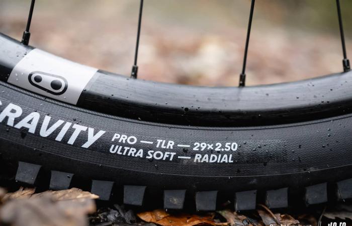 Schwalbe Albert Radial: different approach, conclusive result! ⋆ Vojo