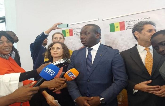 Senegal, a favorable ecosystem for a sustainable and accessible energy mix, according to Birame Soulèye Diop – VivAfrik