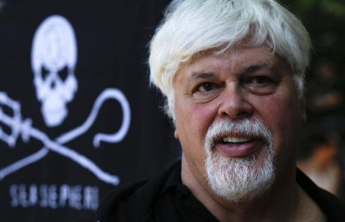 Environmental activist Paul Watson released from prison in Greenland