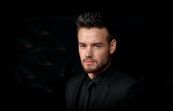 Witness describes Liam Payne’s fatal fall: ‘It’s burned into my brain…’