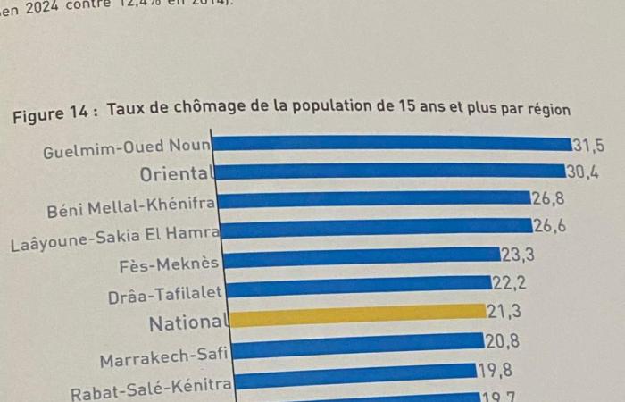 Census – The unemployment rate in Morocco will rise to 21.3% in 2024, compared to 16.2% 10 years ago (Chakib Benmoussa) – Article19.ma