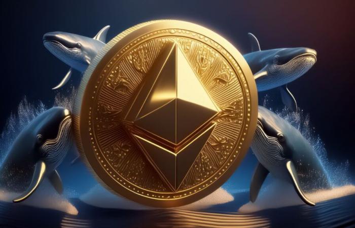 Ethereum at $4,000: whales seize 57% of ETH to the detriment of small investors