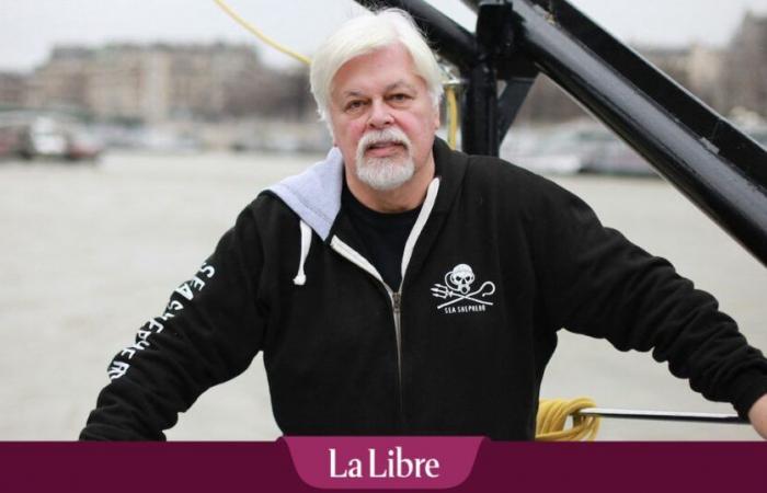 “He is free”: Denmark will not extradite Paul Watson to Japan