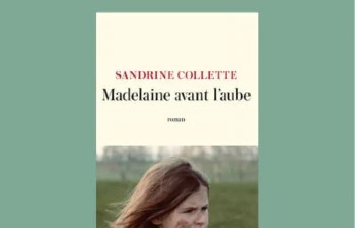 The 2024 Goncourt Prisoner Prize is awarded to Sandrine Collette for her (…)