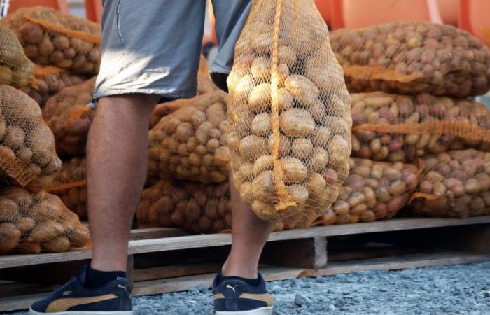 More than 1,000 euros per basket… Fruit and vegetable scams are increasing