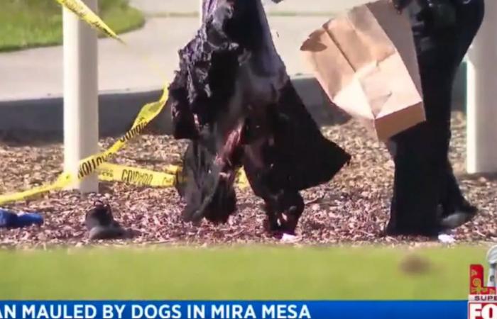 San Diego: fatal attack by its own dogs