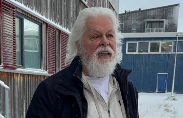 Activist Paul Watson Released After Denmark Declines Extradition to Japan