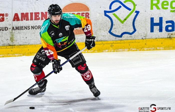 ICE HOCKEY – Coupe de France: The Gothiques ready to take up the challenge in Grenoble