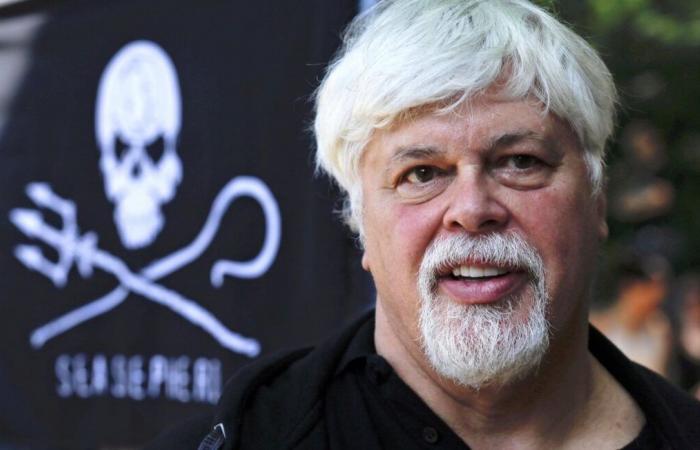 Released from his Danish prison, is Paul Watson out of the woods?