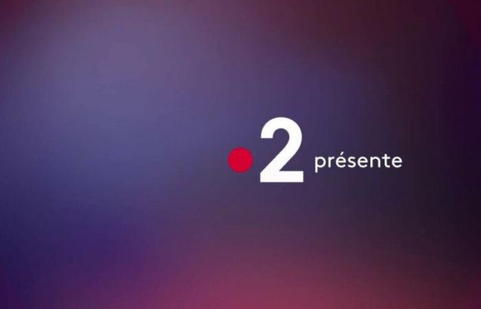 France 2 is shaking up its programs this Tuesday, December 17 to broadcast a program with many artists