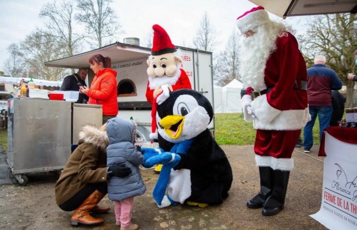 Tour Info | Christmas holidays: our ideas for family outings in Touraine