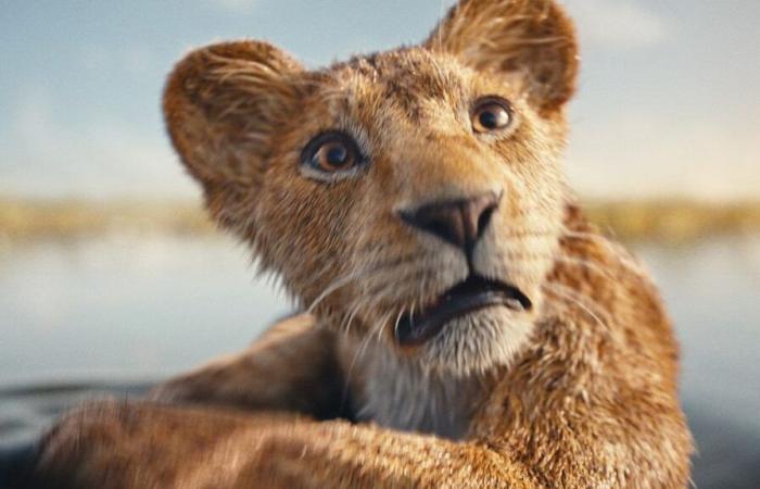 The Lion King Doesn’t Roar Loudly Enough for Criticism on Rotten Tomatoes