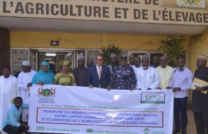 Agricultural transformation: OCP Africa and World Bank in support of Niger