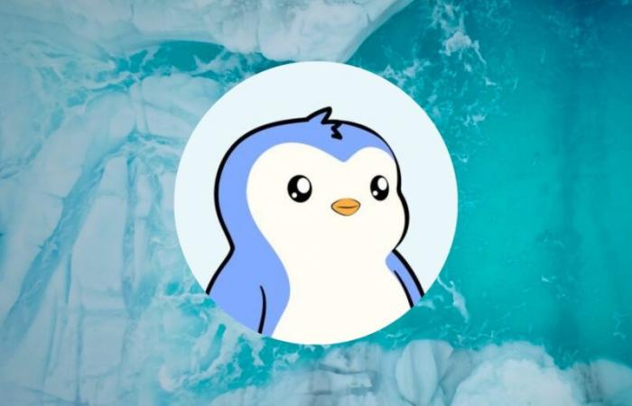 Pudgy Penguins (PENGU) Airdrop is Today – Are you eligible?