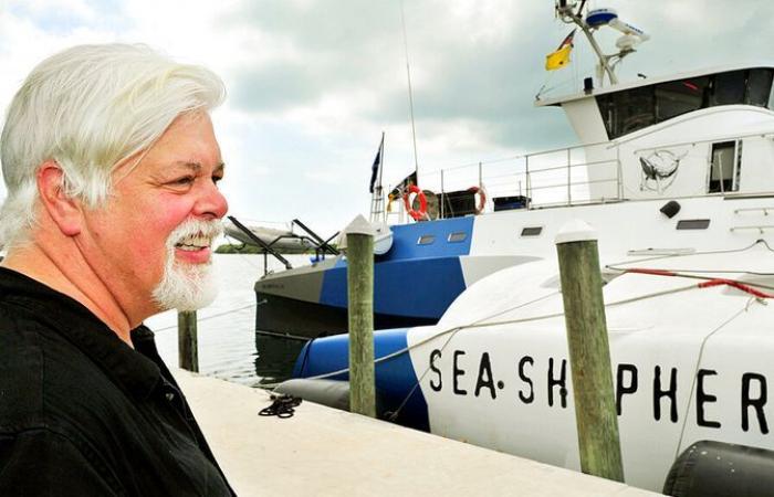 Anti-whaling activist Paul Watson freed from custody and will not face extradition to Japan | World News