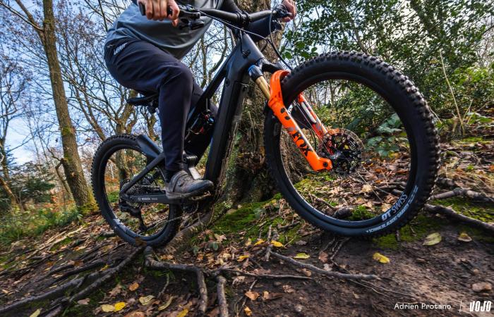 Schwalbe Albert Radial: different approach, conclusive result! ⋆ Vojo