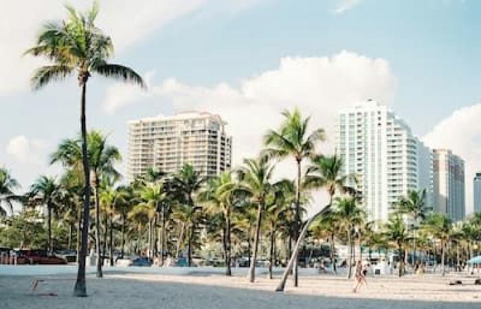 Florida: 7 free activities to do in Miami