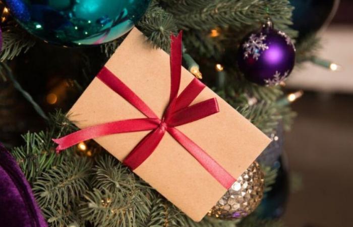 Would you like the Christmas bonus to be generalized to all French people? : News