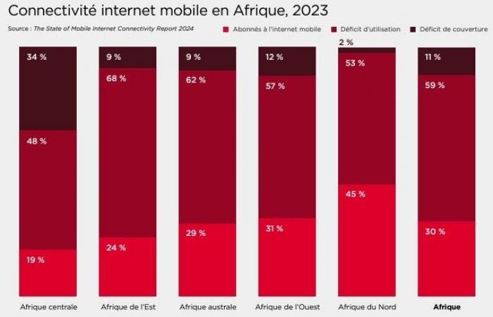 In Africa, the digital development of 41 countries hampered by weak regulations