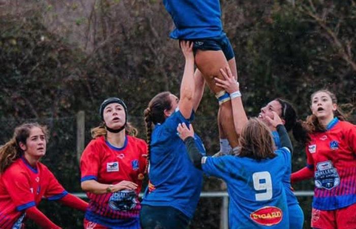 Castres. The results of the other teams of the CO association