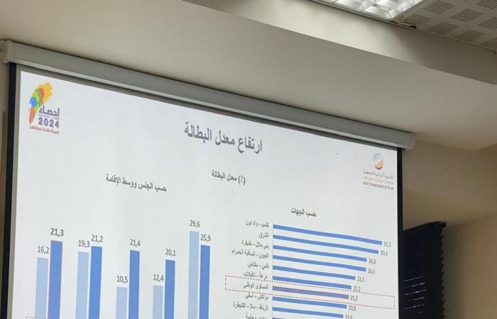 Census – The unemployment rate in Morocco will rise to 21.3% in 2024, compared to 16.2% 10 years ago (Chakib Benmoussa) – Article19.ma