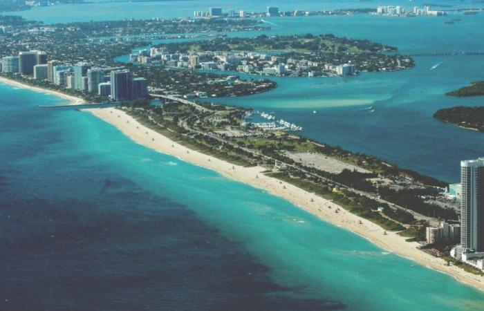 Florida: 7 free activities to do in Miami