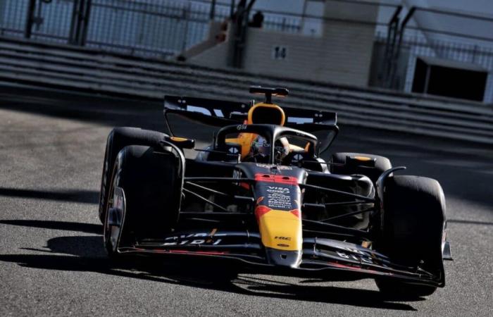 Red Bull, a decision on Max Verstappen’s “shoulder” soon