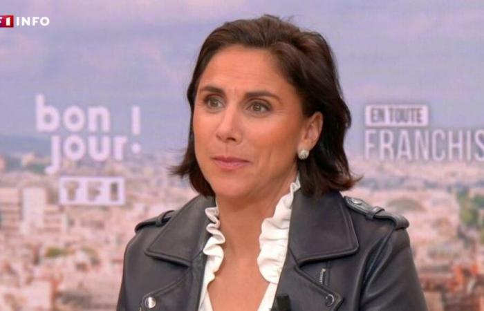 New government: “It’s not the casting that counts but the scenario,” says Laure Lavalette (RN) on TF1