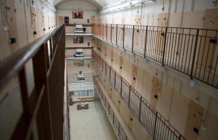 Cockroaches, cold, unsanitary conditions: justice pins down the prisons of Limoges and Île de Ré