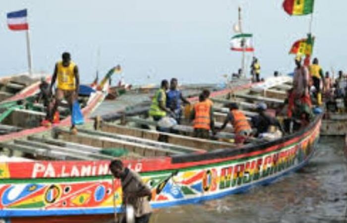 Senegal invests in a 7 billion fisheries laboratory…