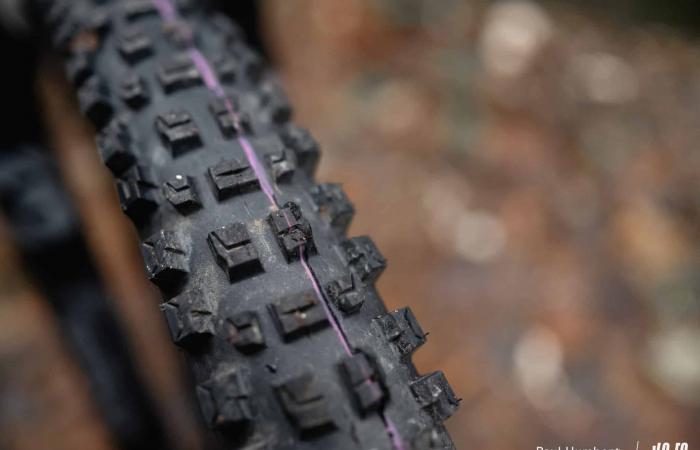 Schwalbe Albert Radial: different approach, conclusive result! ⋆ Vojo