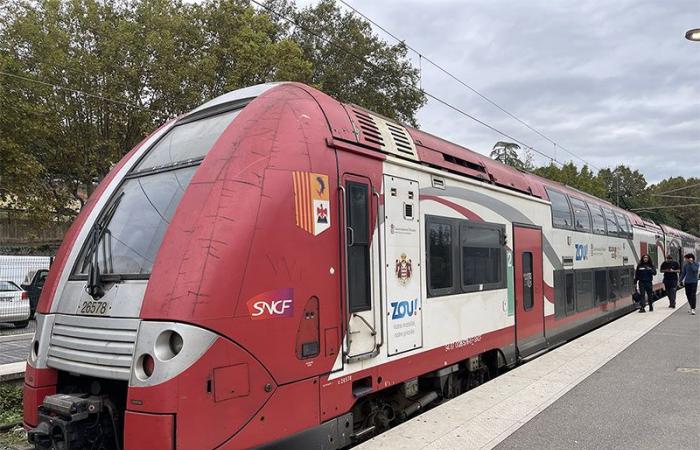 Pace, competition: the rail revolution begins in Cannes-Menton