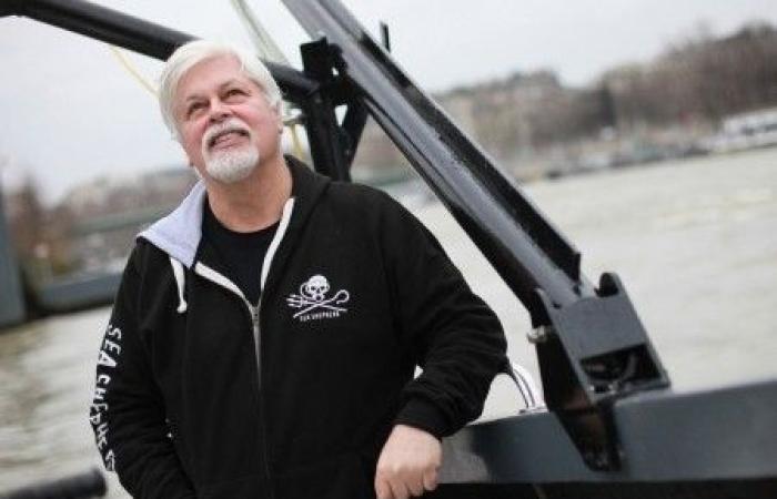 Paul Watson released by Danish justice