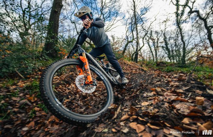 Schwalbe Albert Radial: different approach, conclusive result! ⋆ Vojo