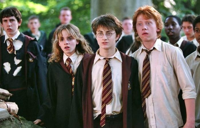 Harry Potter: the conditions that the new actors who will play Harry, Ron Weasley and Hermione Granger must meet | M.A.G.