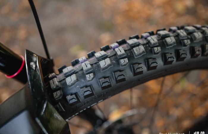 Schwalbe Albert Radial: different approach, conclusive result! ⋆ Vojo