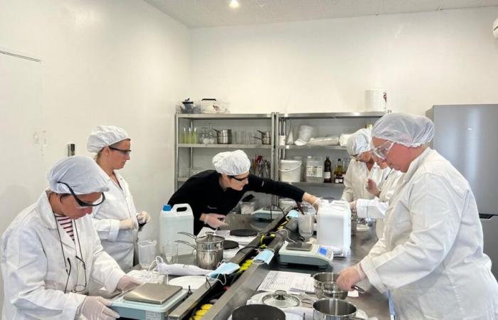 Avignon: double news for Laboratoire 4E