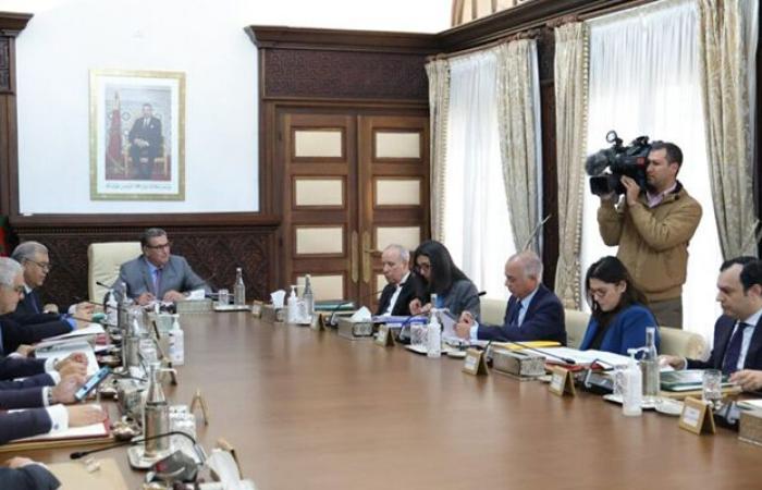 Investment and reform: seven decrees under examination at the Government Council