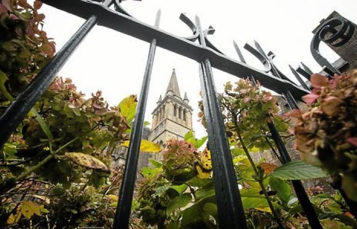 “It’s a big facelift”: Vannes cathedral under construction for two years [Vidéo]