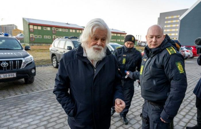 Whaling activist Watson freed after Denmark rejects extradition