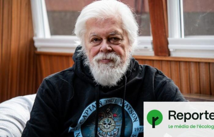 Paul Watson released by Danish justice