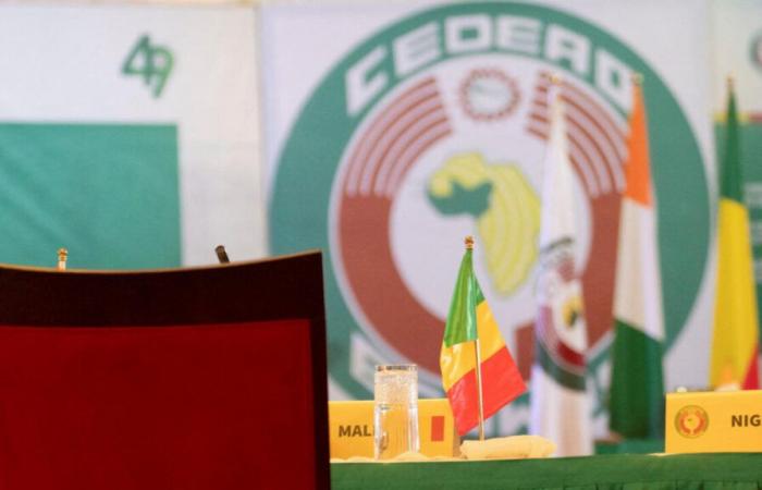 Alliance of Sahel States: “We are moving more towards an amicable divorce” with ECOWAS