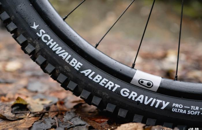 Schwalbe Albert Radial: different approach, conclusive result! ⋆ Vojo