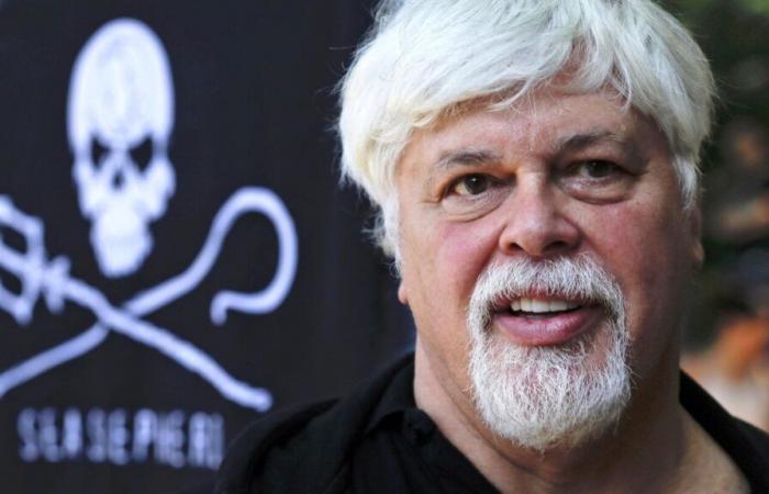 Denmark freed anti-whaling activist Paul Watson, won’t extradite him to Japan