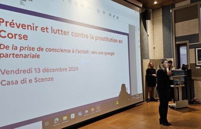 the fight against prostitution at the center of a seminar